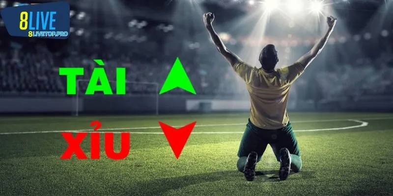 Chuyên gia chia sẻ cách đọc kèo tài xỉu cho tân binh