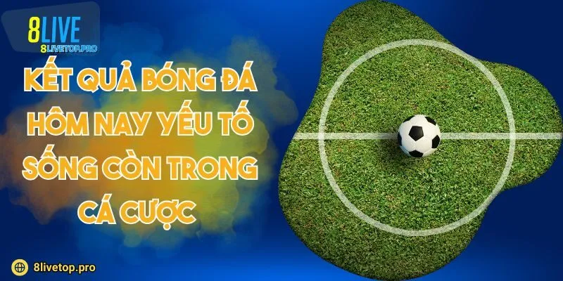 Kết quả bóng đá hôm nay